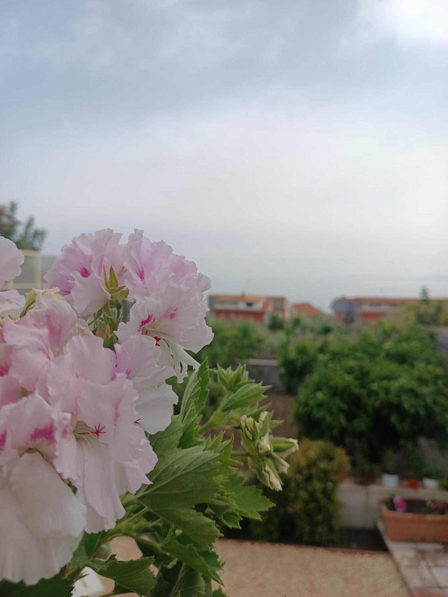 הוילה אצ'י קסטלו Mosa House מראה חיצוני תמונה